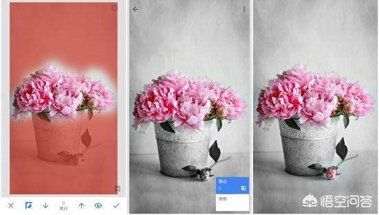 安卓snapseed蒙版功能snapseed手机安卓版怎么下载-第2张图片-太平洋在线下载